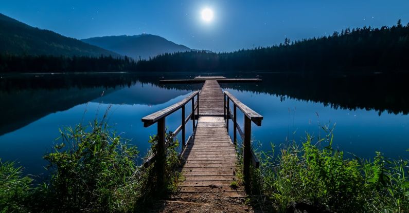 Calm Environment - Brown Wooden Dock