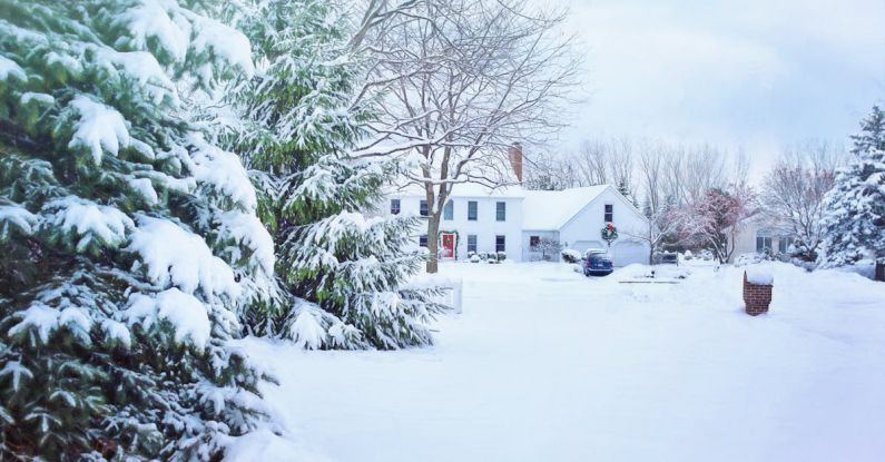 Winter Home - Snow Covered House and Trees