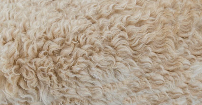 Wool Rugs - Beige Fur